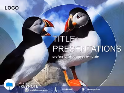 Flap into Wonder with Strange Birds Keynote