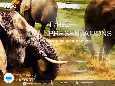 Elephant Safari Keynote Template Design