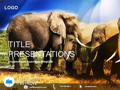 Elephant Species Keynote Template