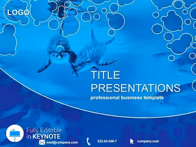 Playful Friendly Dolphins Keynote Slides