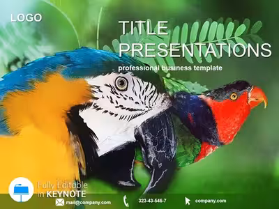 Vibrant Cockatoo Parrot Keynote Theme