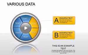 Various Data PowerPoint Template: Infuse Your Presentations with Visual Intelligence