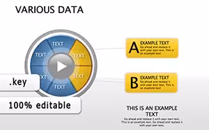 Various Data Keynote Diagrams for Modern Information Management