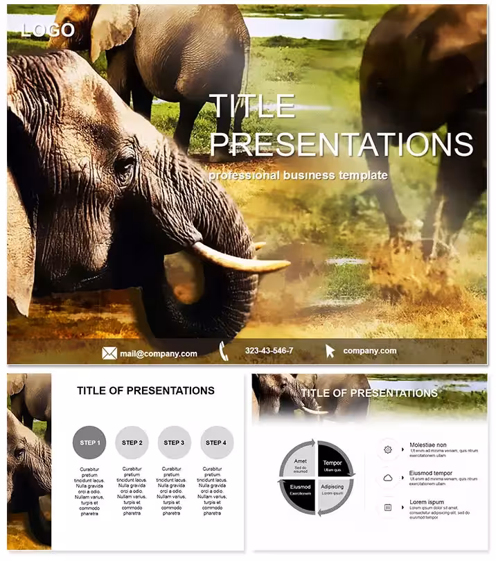 Elephant Safari Keynote Template Design