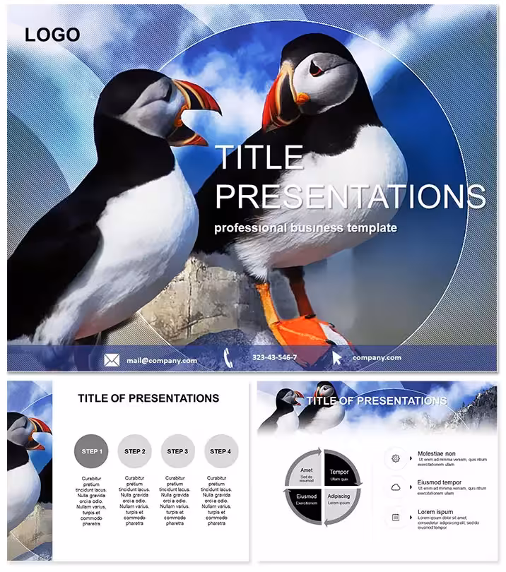 Flap into Wonder with Strange Birds Keynote