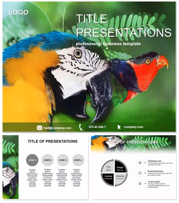 Vibrant Cockatoo Parrot Keynote Theme