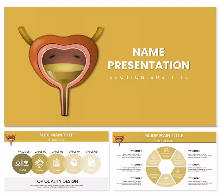 Urinary System PowerPoint Template: Filtering Knowledge Clearly