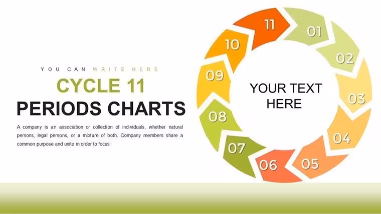 11-Period Cycle PowerPoint Template: Educational Depth