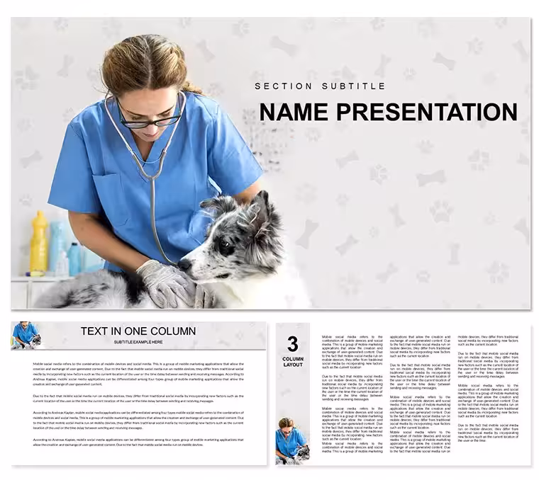 Pet Vet Doctor PowerPoint Template: Presentation