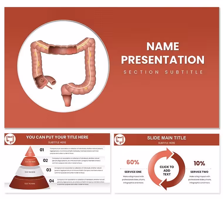 Large Intestine Keynote: Digestive System Guide