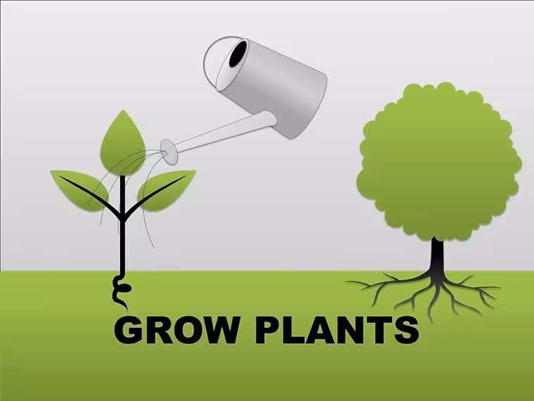 Grow Plants PowerPoint Shapes for Engaging Presentations