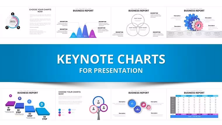 Professional Business Report Keynote Charts
