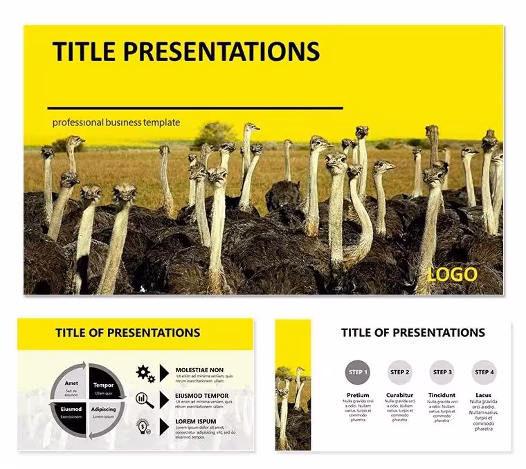 Ostrich Farm PowerPoint Template - Professional Presentation Themes