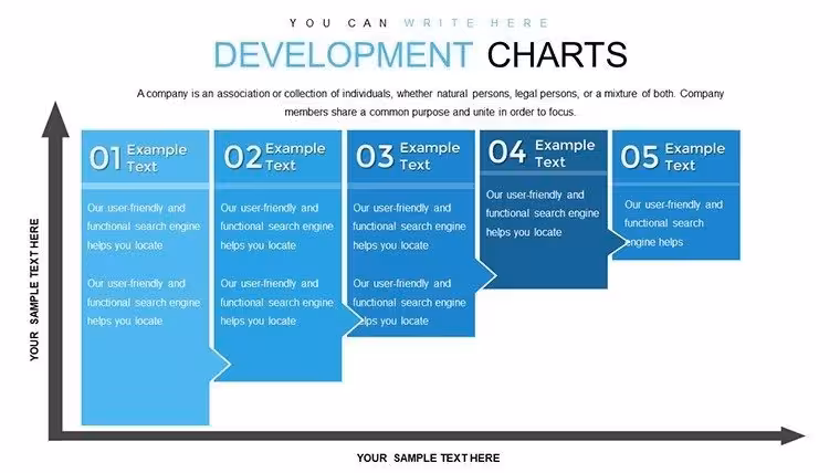 Development PowerPoint Charts Template