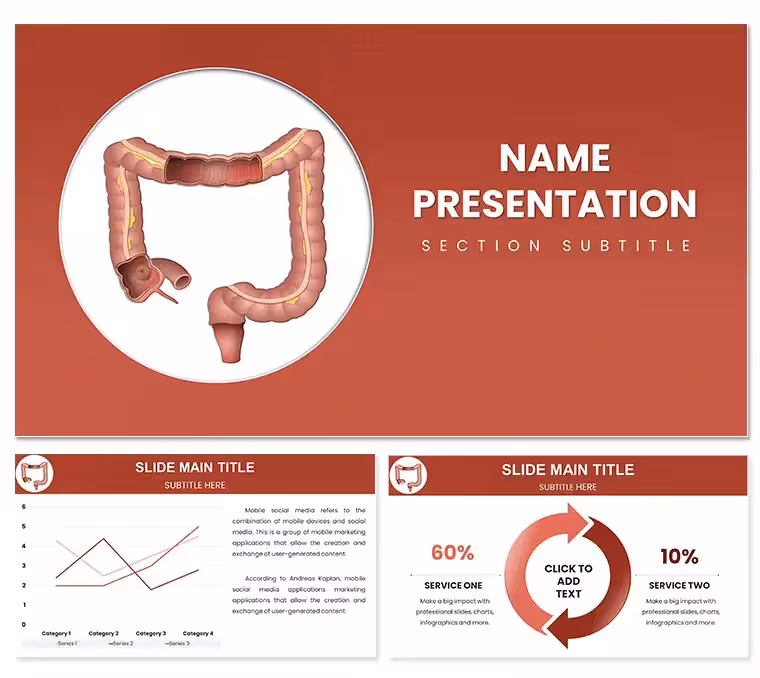 Large Intestine PowerPoint Template: Absorbing the Essentials