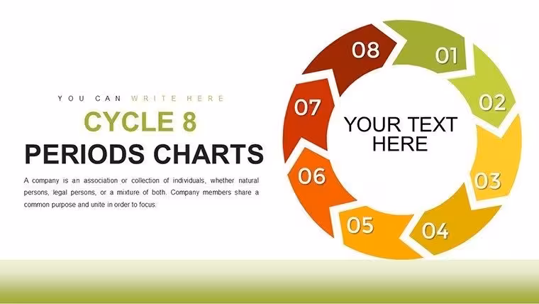 8-Period Workflow Cycle Charts for Architecture PowerPoint