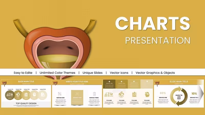Urinary System Keynote Charts Template - Fully Editable | Instant Download