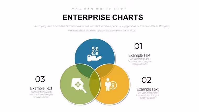 Premium Enterprise Charts Template for Keynote: Master Data Visualization