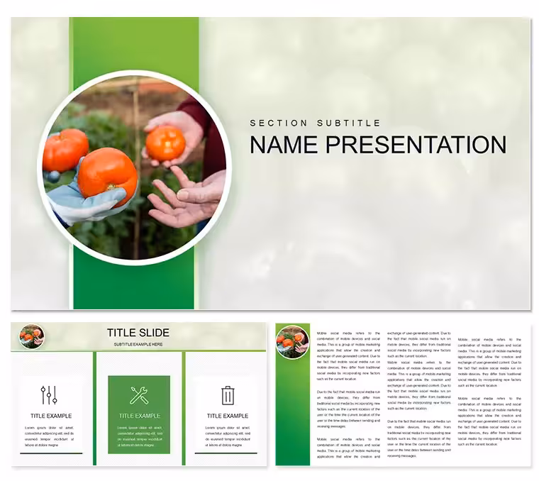 Growing Tomatoes PowerPoint Template - Agriculture & Botany Presentation | Fully Editable | Instant Download | ImagineLayout