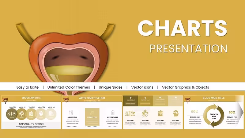 Urinary System PowerPoint Charts: Precision for Medical Insights