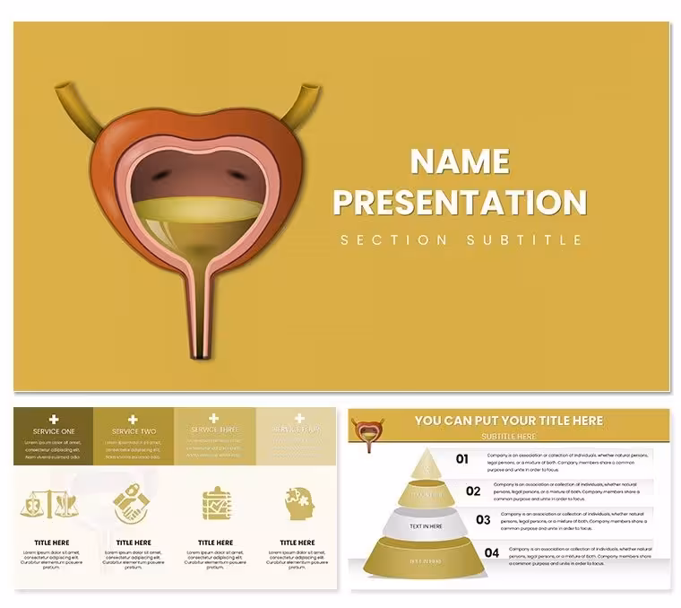 Urinary System Keynote Template: Anatomy Insights