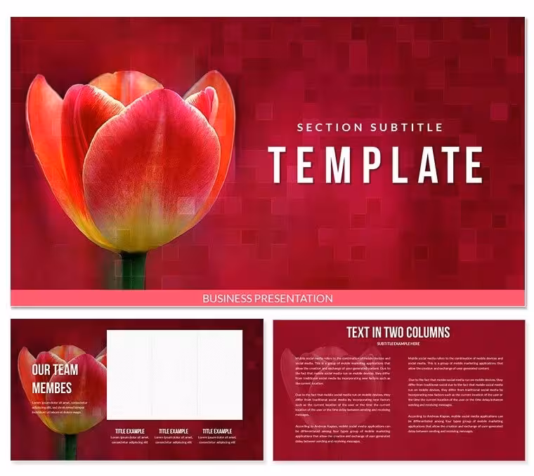 Tulip Bulbs for Sale PowerPoint templates