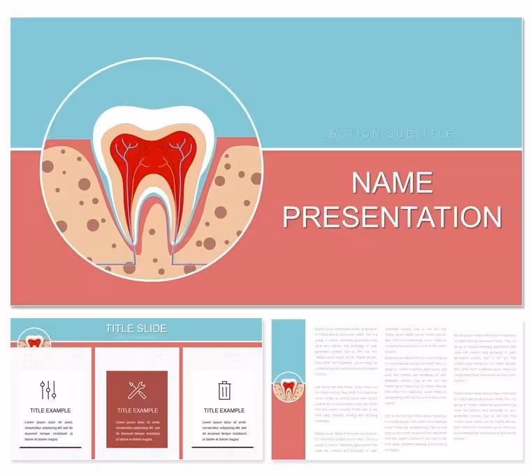 Tooth Structure PowerPoint Template Presentation Backgrounds