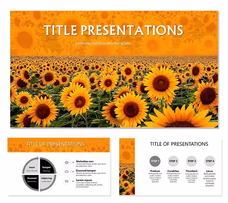 Field of Sunflowers PowerPoint templates