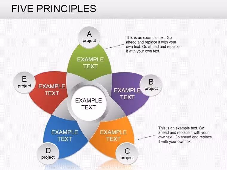 Five Principles PowerPoint Charts Template