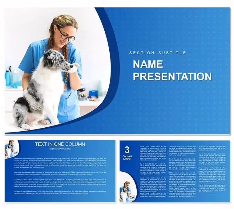 Treatment Of Animals In Veterinary Clinic PowerPoint template