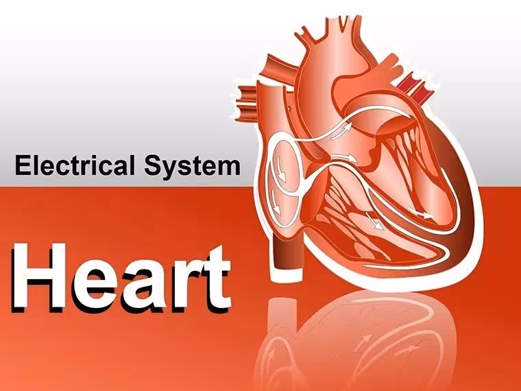 System Heart PowerPoint Shapes