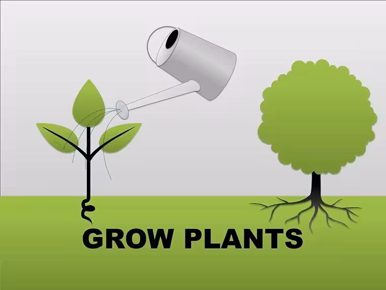Grow Plants Keynote Shapes: Cultivate Visual Stories in Your Decks