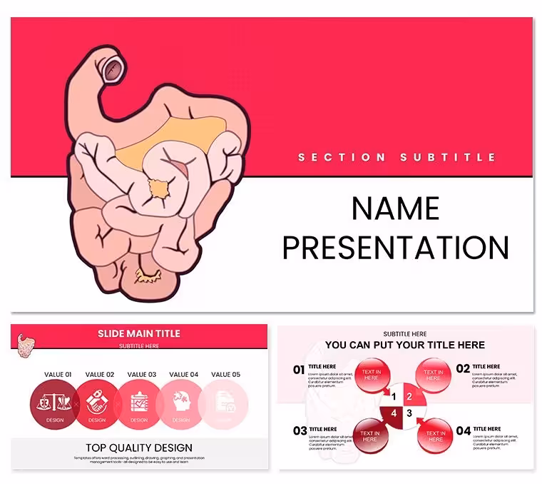 Small Intestine Keynote: Nutrient Flow Slides