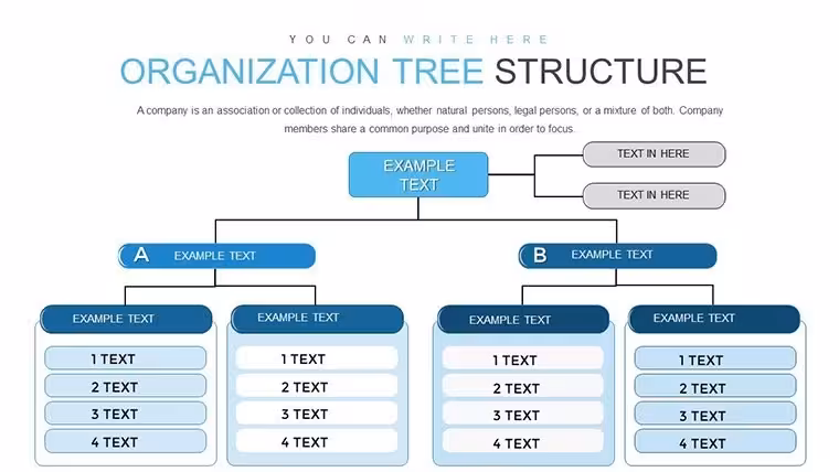 Organization Tree Keynote Charts: Visualize Hierarchies Effortlessly