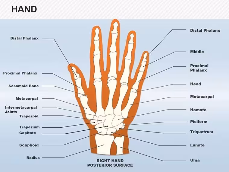Hand Shapes Keynote Icons - 25 Medical Slides | ImagineLayout