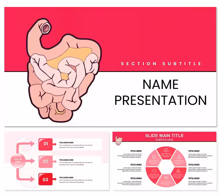 Small Intestine Anatomy PowerPoint Template