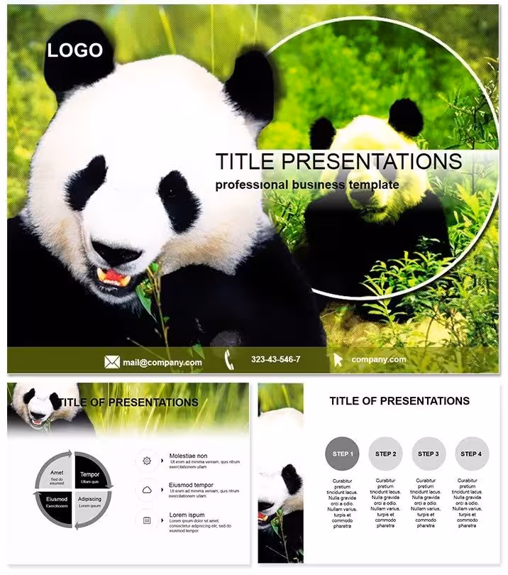 Giant Panda PowerPoint Template for Zoos
