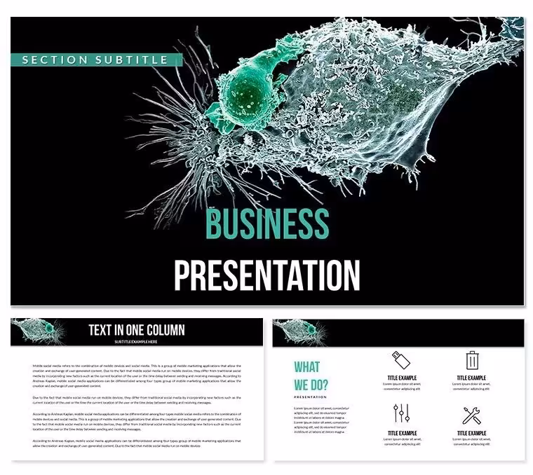 Molecular Markers and Cancer Therapeutics Keynote Templates
