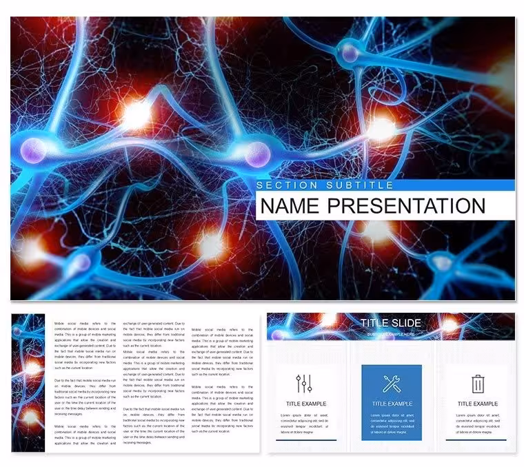 Nervous System Anatomy and Physiology Keynote Template