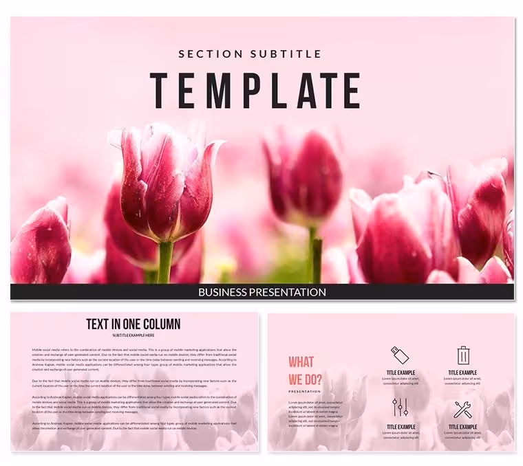Tulips Keynote templates