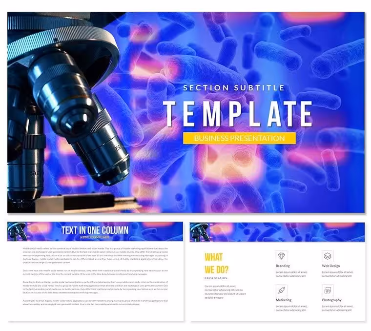 Bacteria that cause disease in humans Keynote template