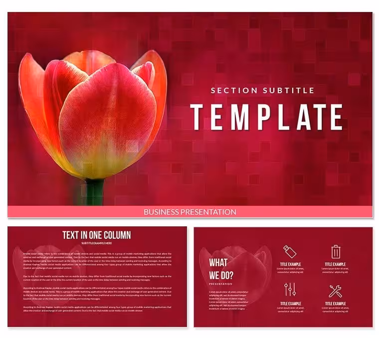 Tulip Bulbs for Sale Keynote templates