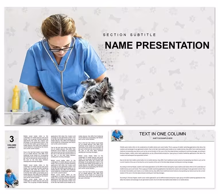 Pet Vet Doctor Keynote Template - Themes