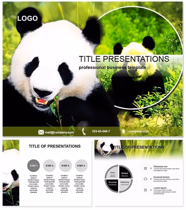 Giant Panda Wildlife Keynote Template Pack