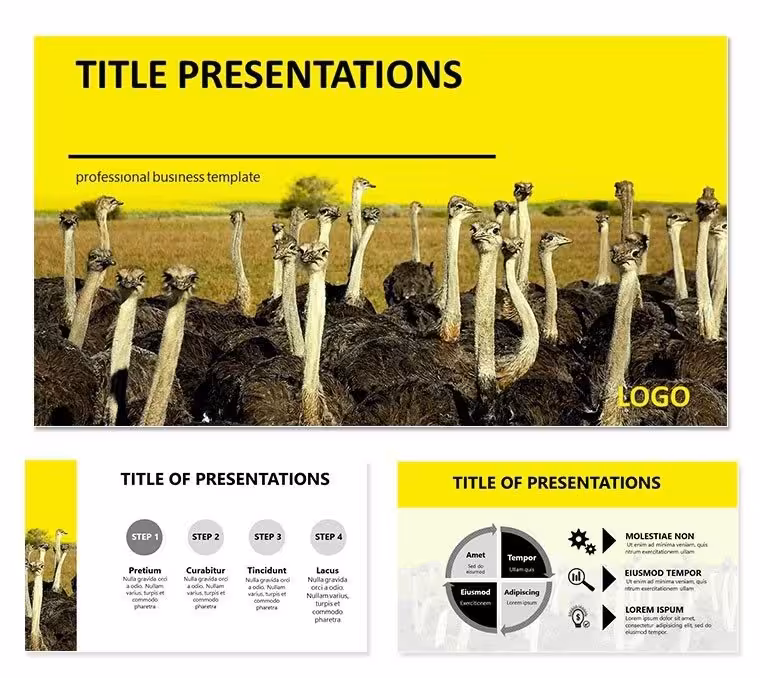 Ostrich farm Keynote templates