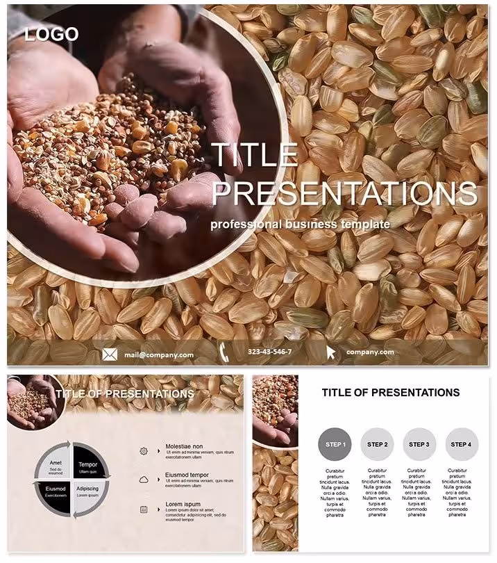 Harvest Grain Farming Template