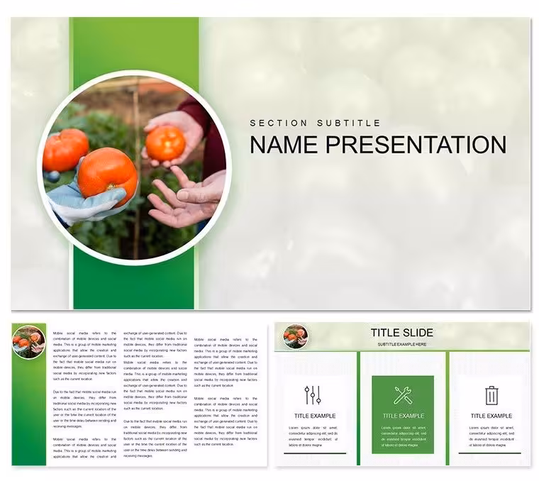 Growing Tomatoes Keynote Template: From Seed to Slide Success