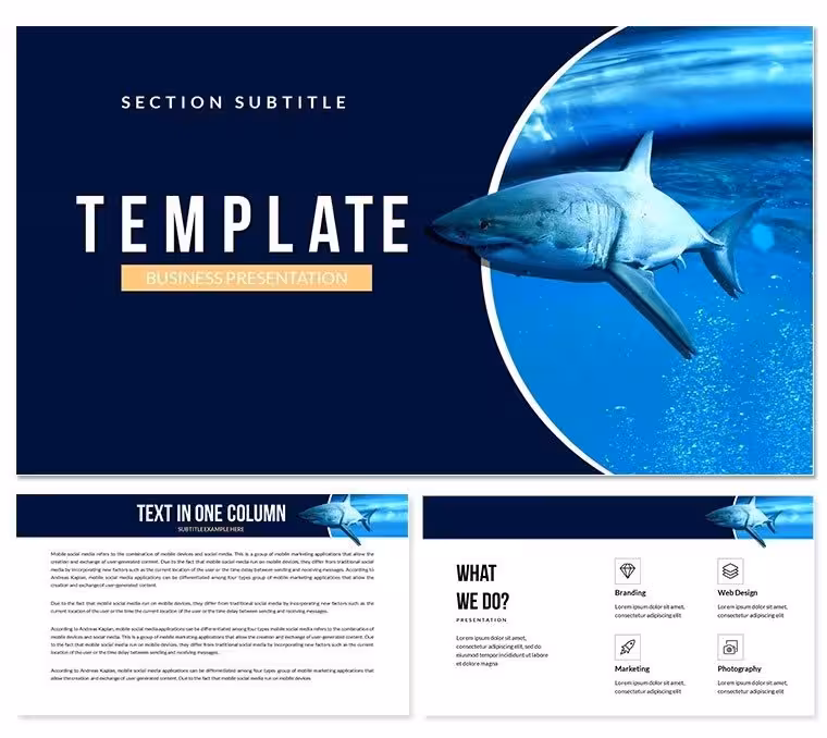 Dangerous Animals: Sea World Keynote Presentation Templates