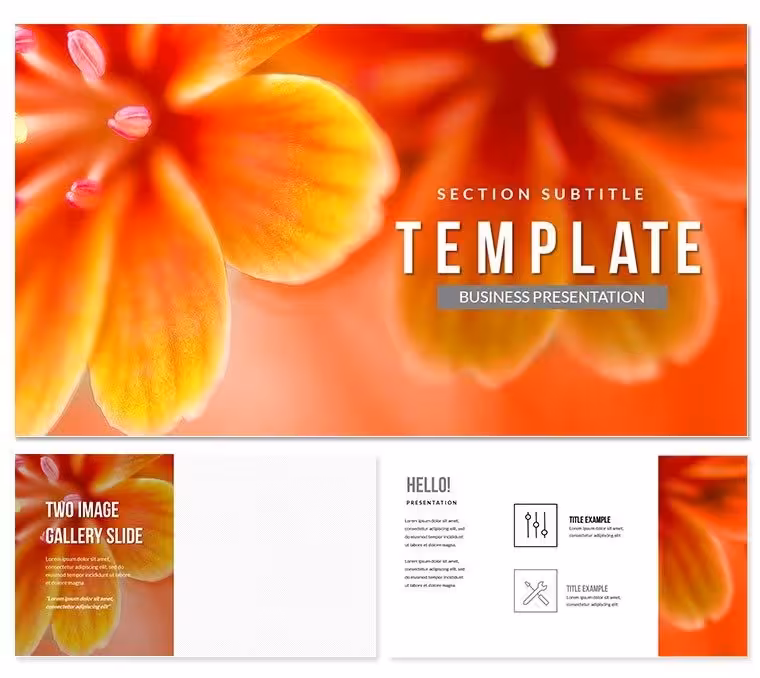 Flower Petal Keynote Template Presentation