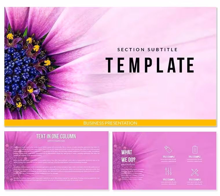 Flower Close Up Keynote Templates - Themes